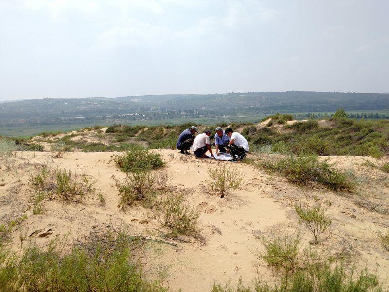 银娱优越会·GEG(中国)股份有限公司