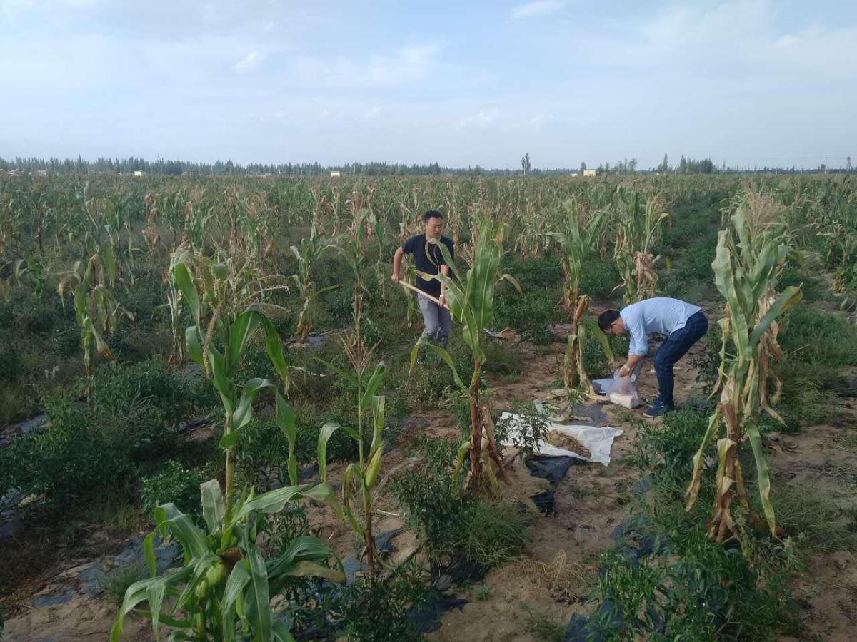 银娱优越会·GEG(中国)股份有限公司