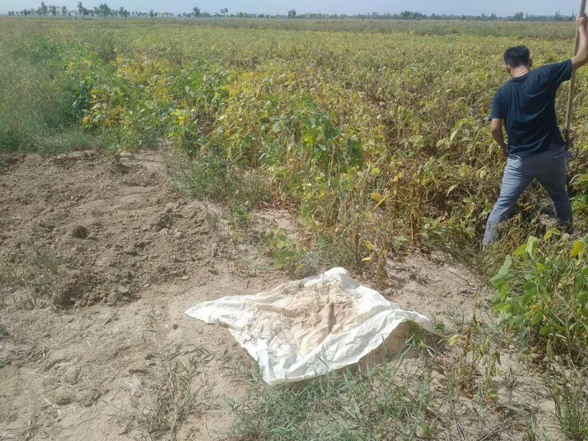 银娱优越会·GEG(中国)股份有限公司