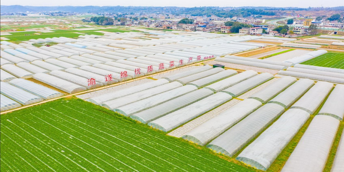 银娱优越会·GEG(中国)股份有限公司