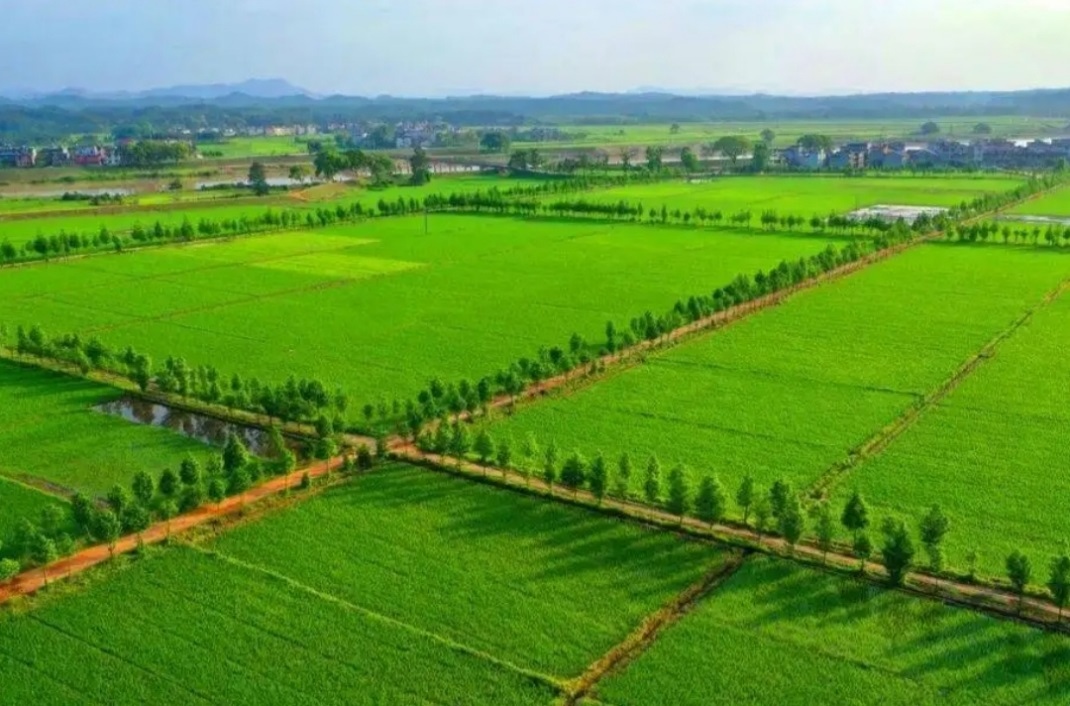 银娱优越会·GEG(中国)股份有限公司