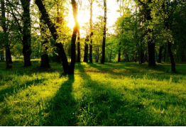 银娱优越会·GEG(中国)股份有限公司