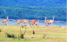 银娱优越会·GEG(中国)股份有限公司