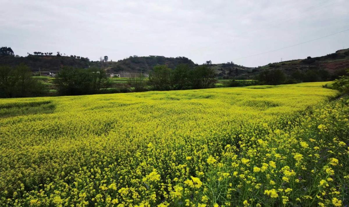 银娱优越会·GEG(中国)股份有限公司