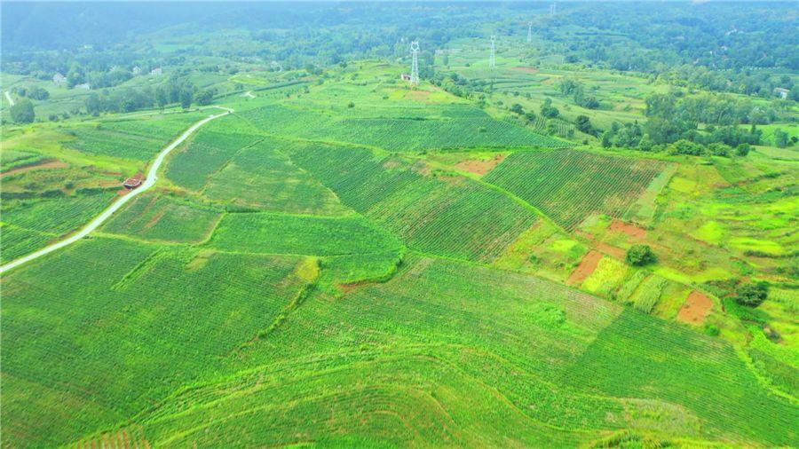 银娱优越会·GEG(中国)股份有限公司