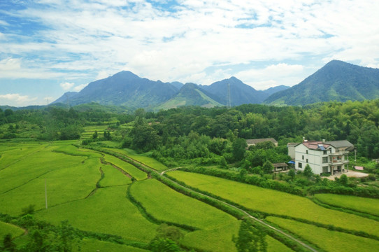 银娱优越会·GEG(中国)股份有限公司