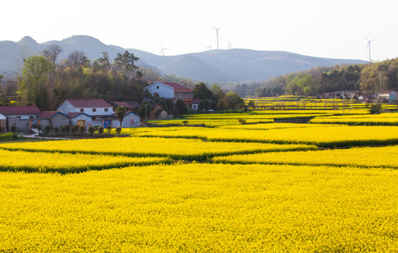 银娱优越会·GEG(中国)股份有限公司