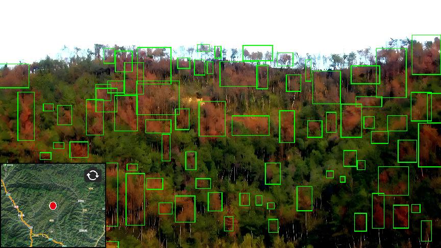 银娱优越会·GEG(中国)股份有限公司