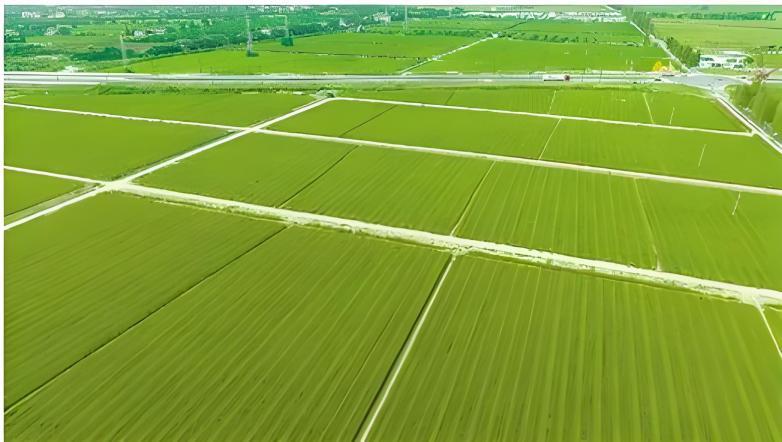 银娱优越会·GEG(中国)股份有限公司