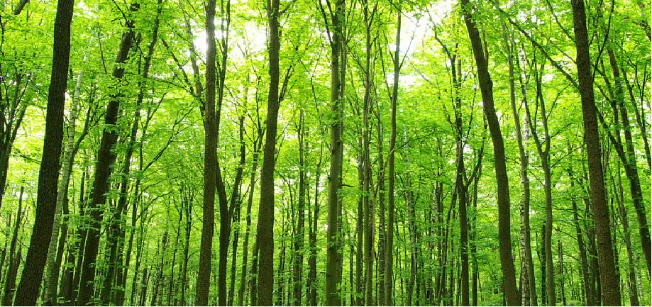 银娱优越会·GEG(中国)股份有限公司